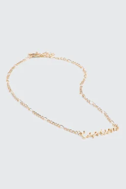 Capricorn Zodiac Chain Necklace