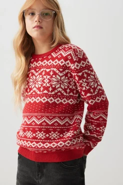 Family Holiday Sweater