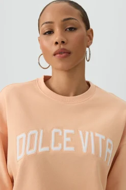 French Terry Crew Neck Sweatshirt