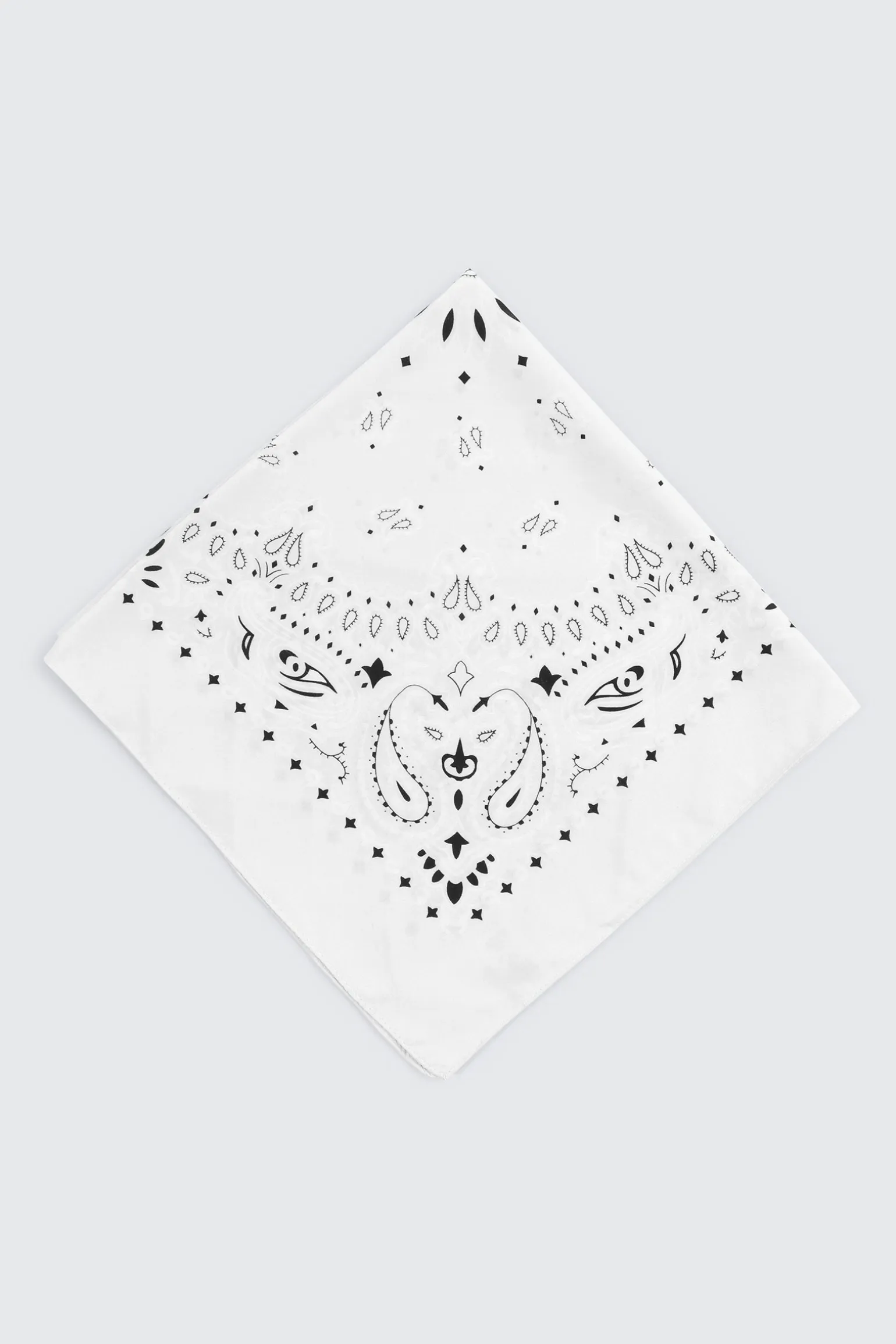Paisley Bandana