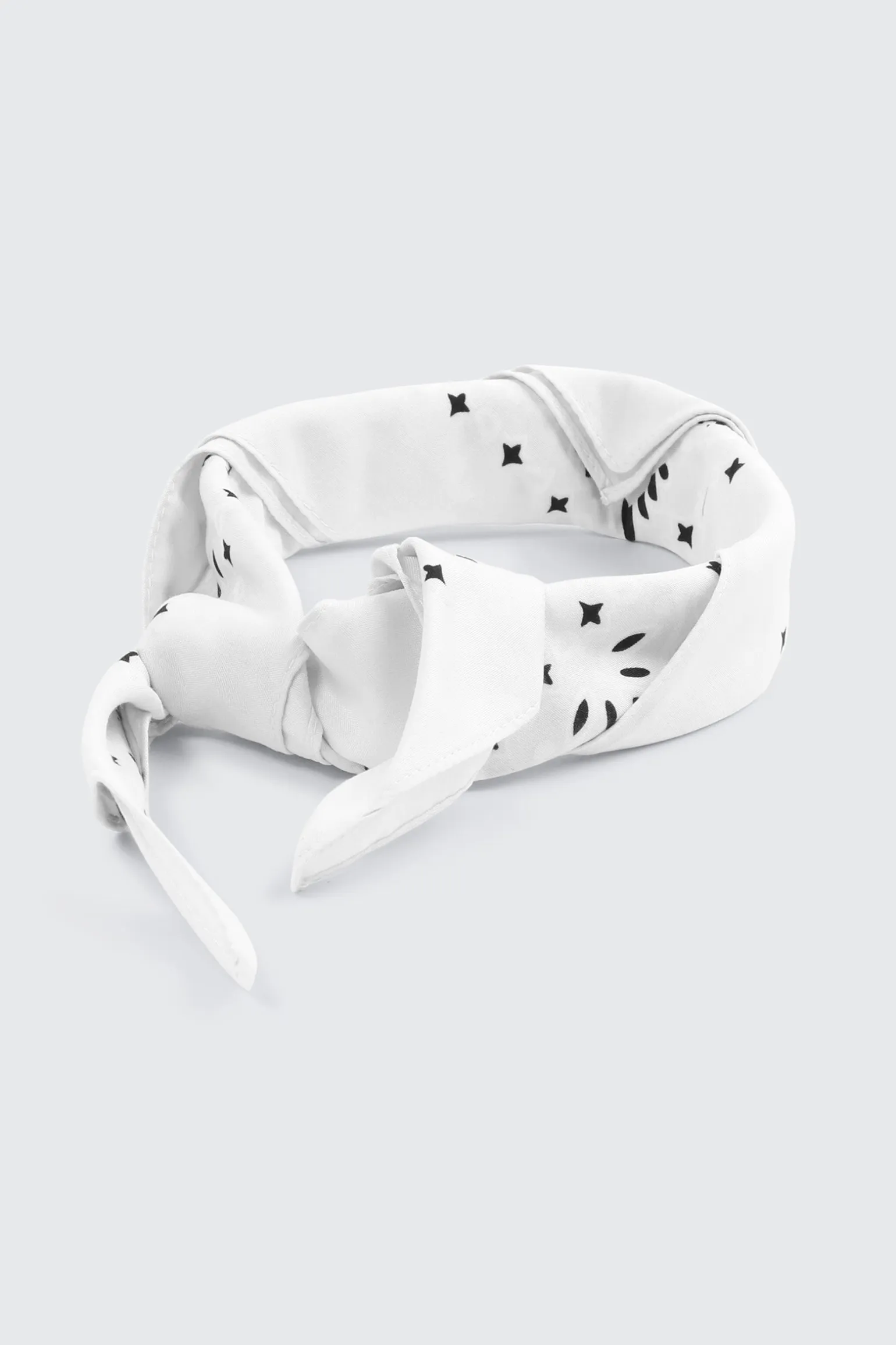 Paisley Bandana