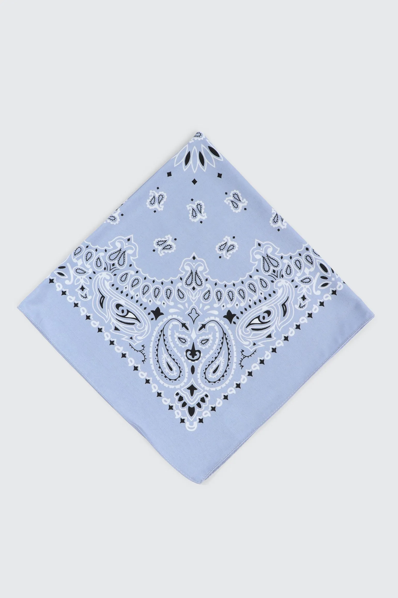 Paisley Bandana