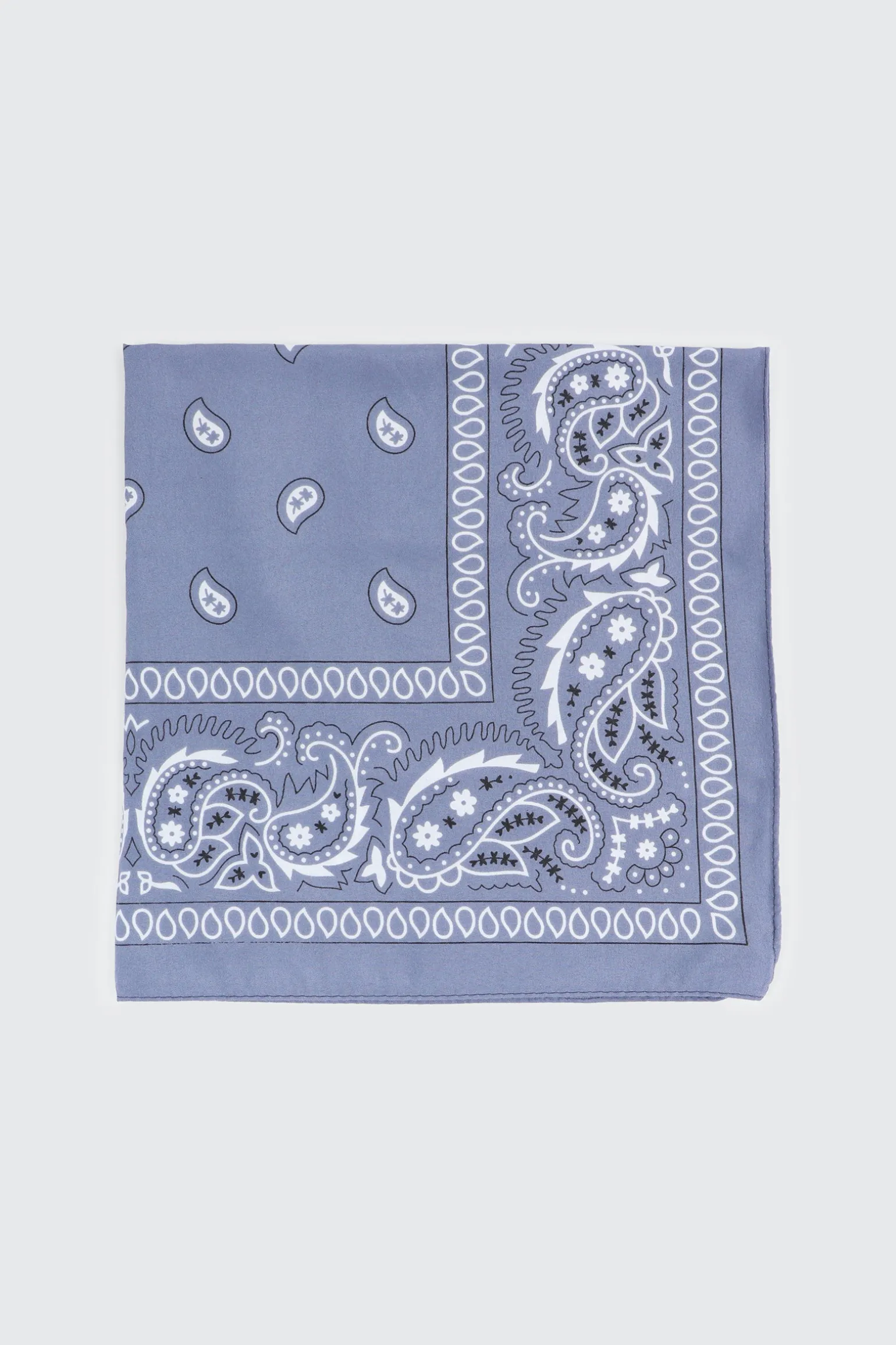 Paisley Bandana