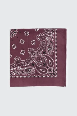Paisley Bandana