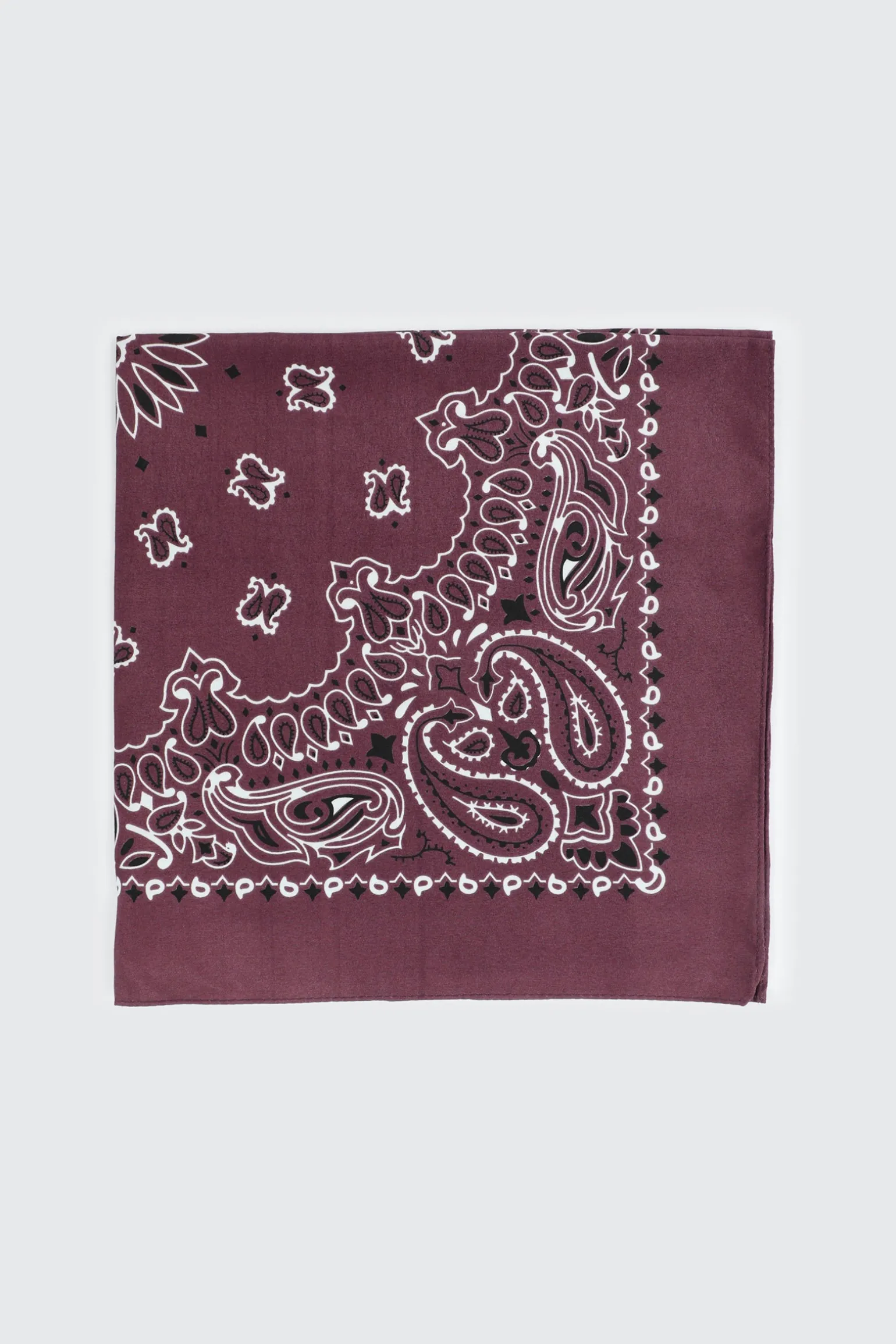 Paisley Bandana