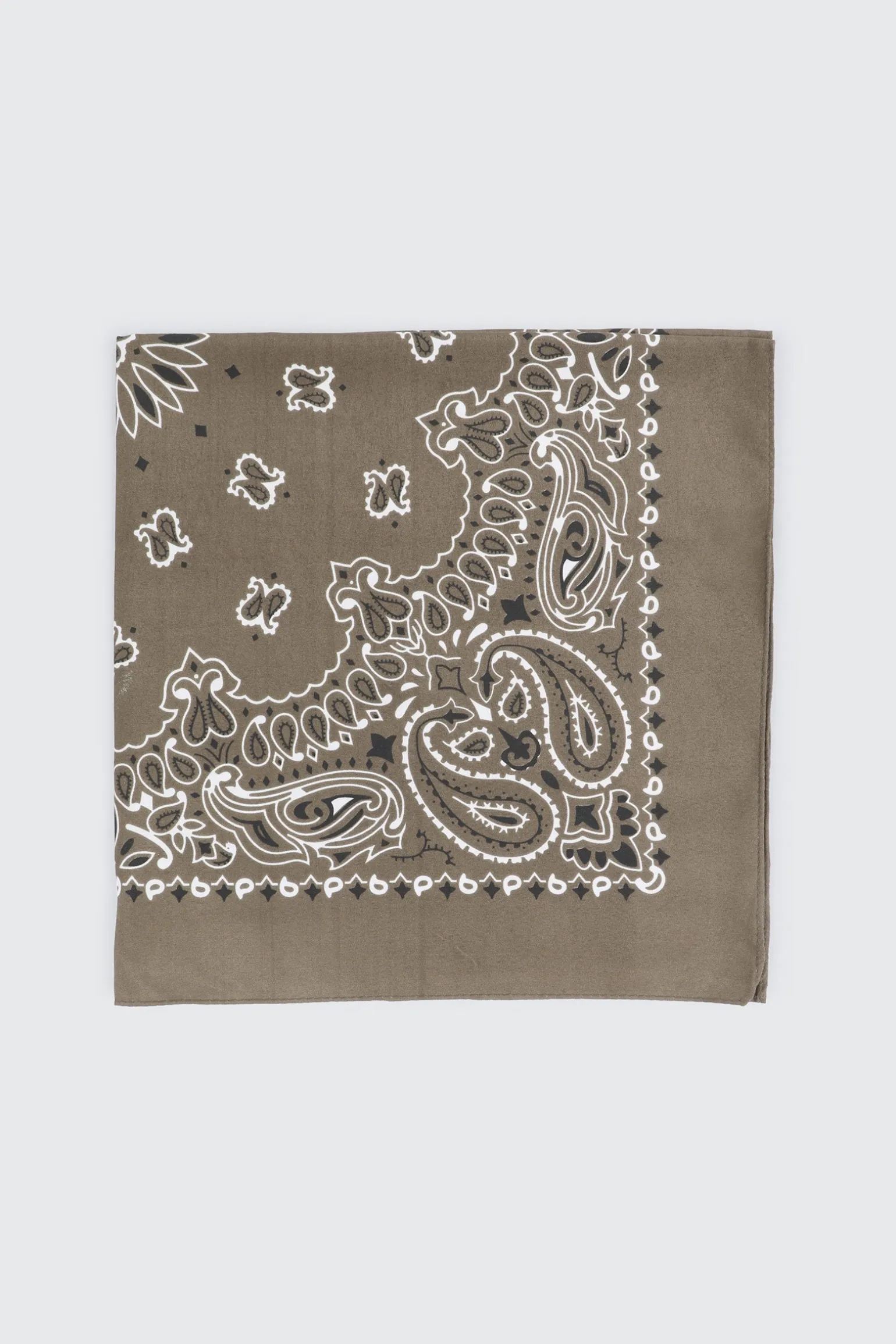 Paisley Bandana