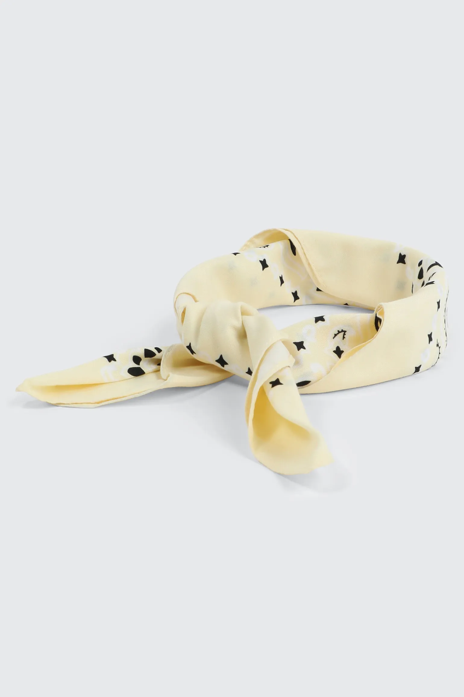 Paisley Bandana