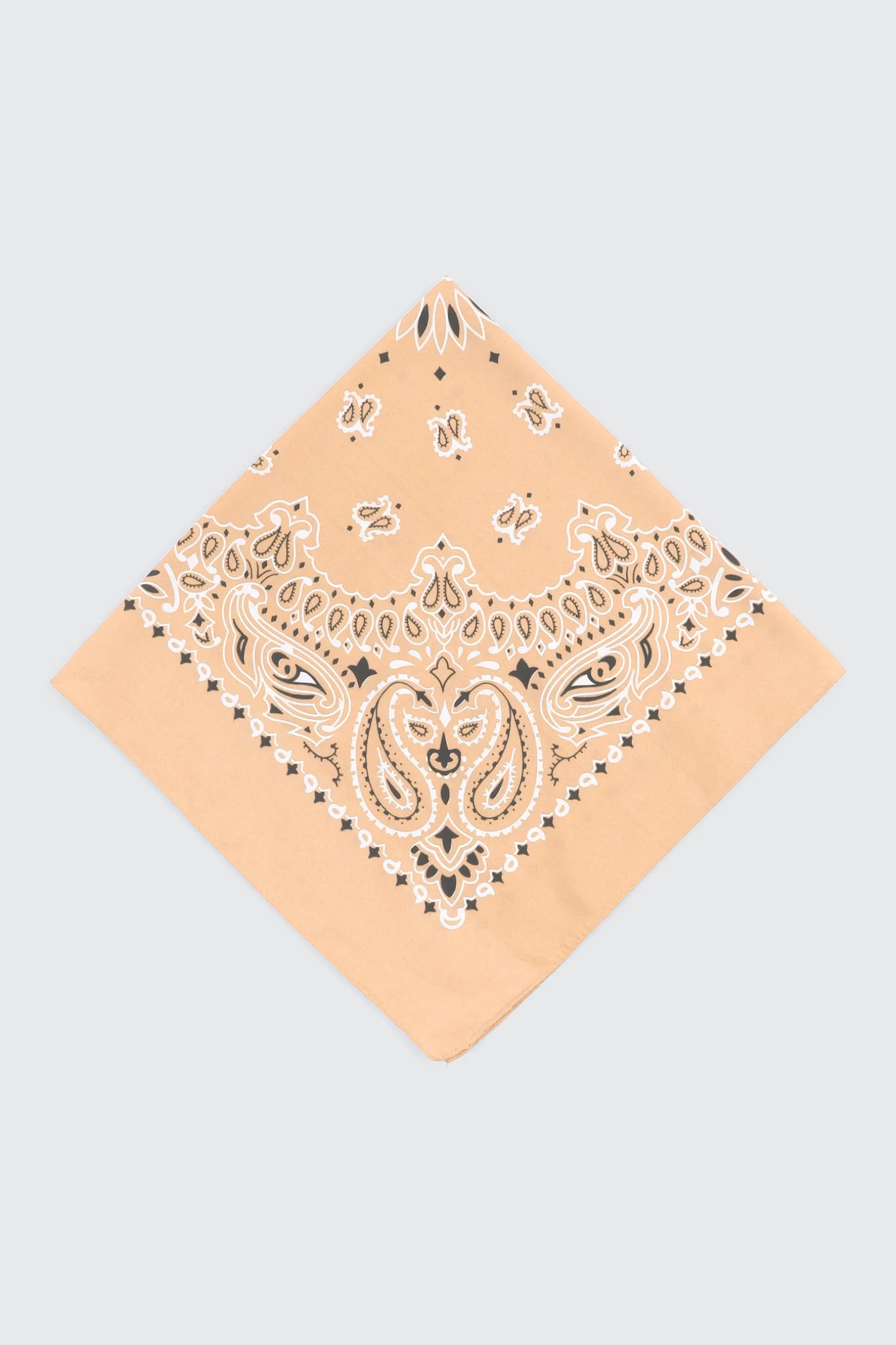 Paisley Bandana