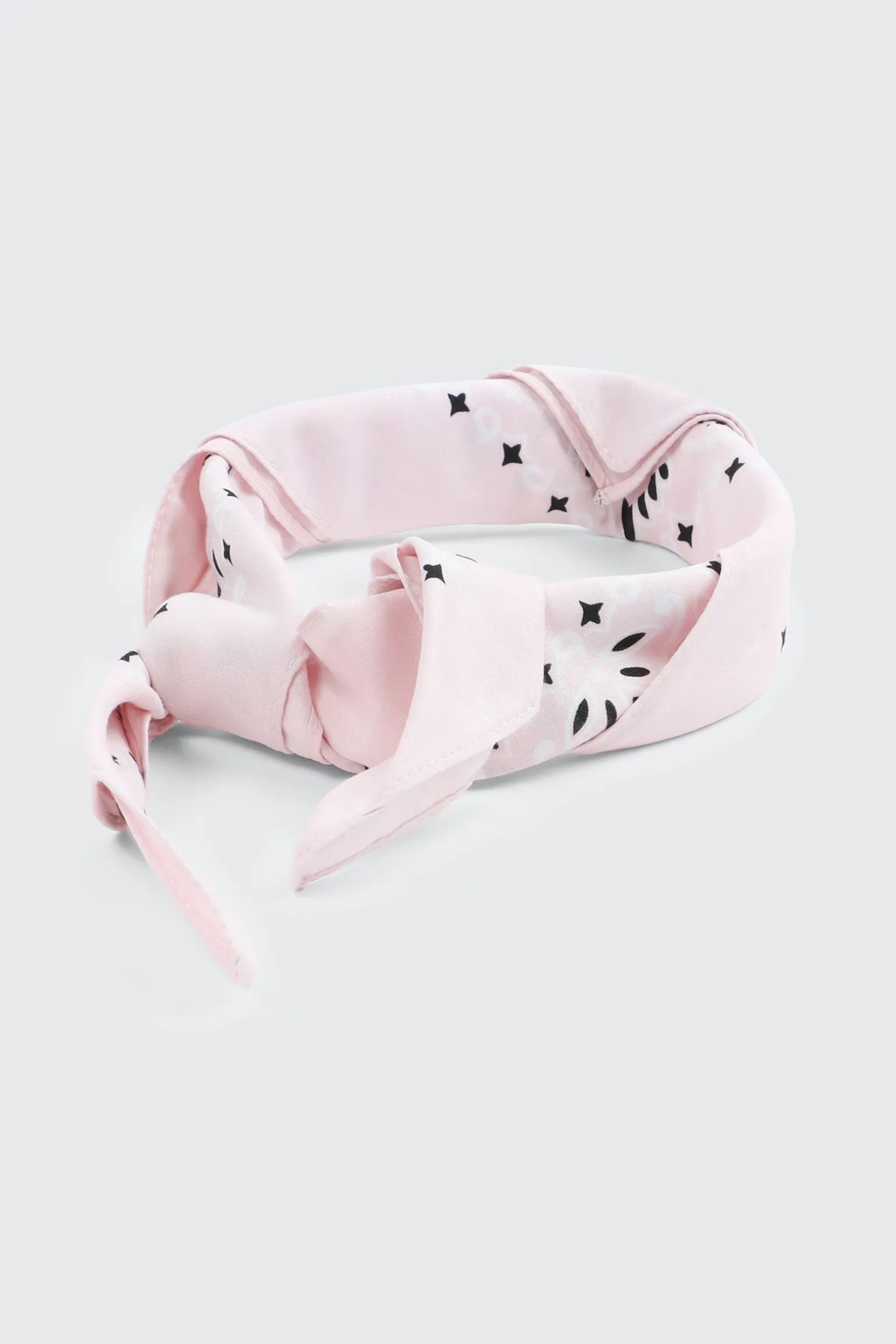 Paisley Bandana