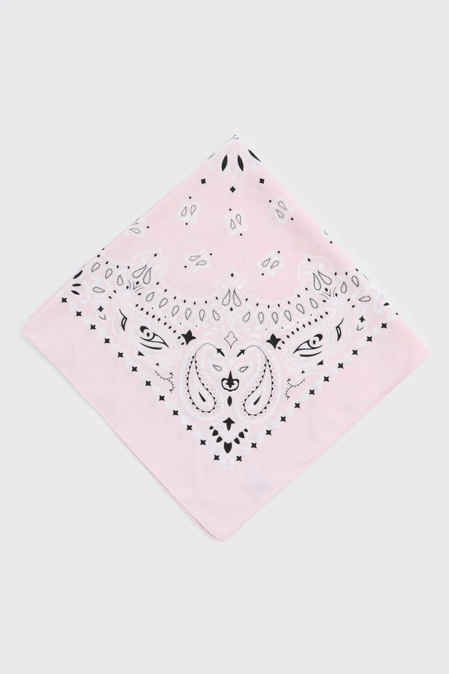Paisley Bandana