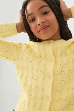 Pointelle Crew Neck Cardigan