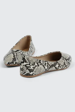 Pointy Toe Flats