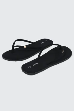 Shell Flip Flops