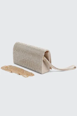 Shiny Envelope Clutch