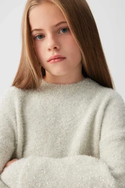 Shiny Fuzzy Sweater