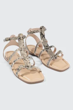 Square Toe Gladiator Sandals